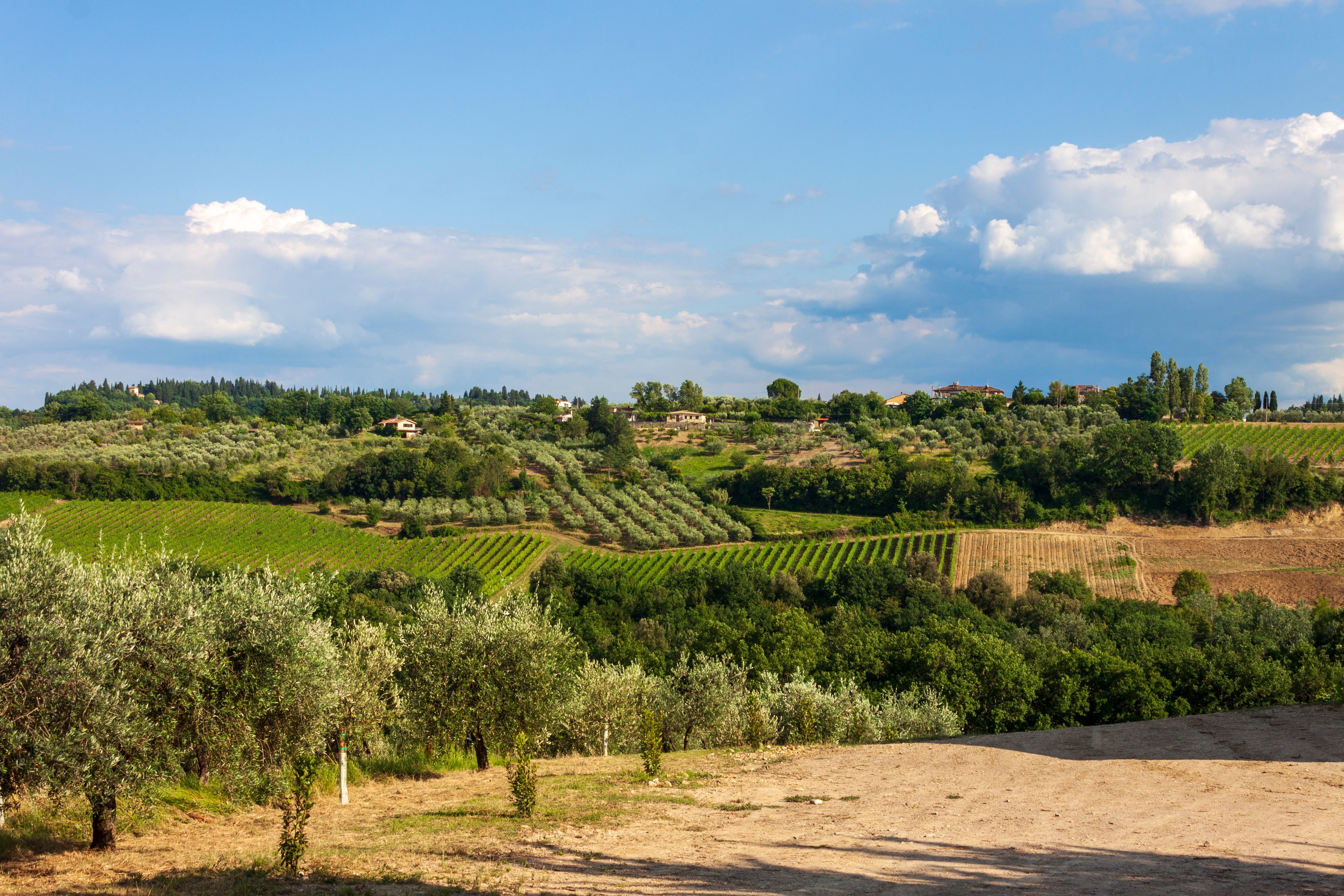 Il cuoio racconta la Toscana: intrecci di mani e paesaggi - Roberto Mantellassi