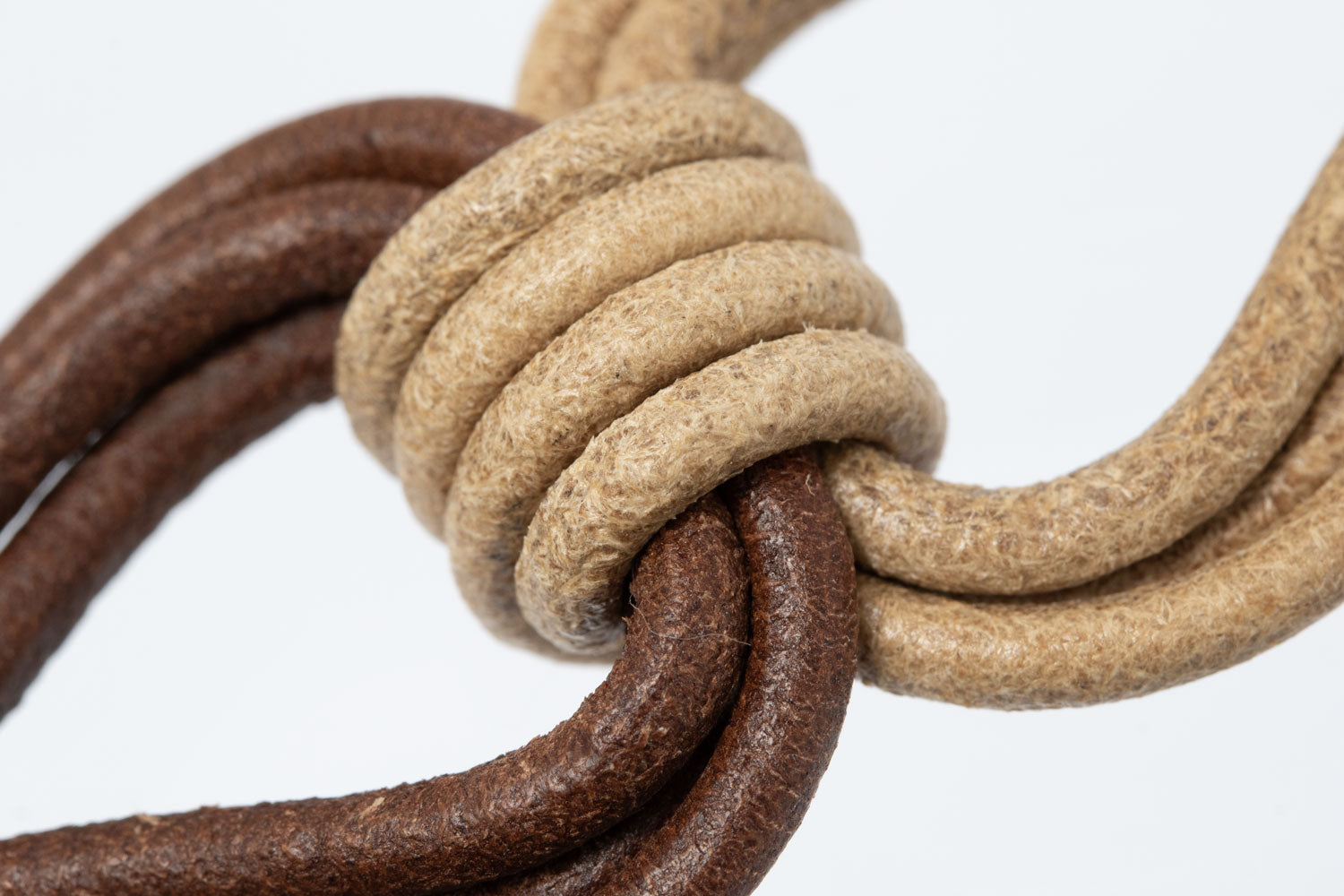 Horseshoe
