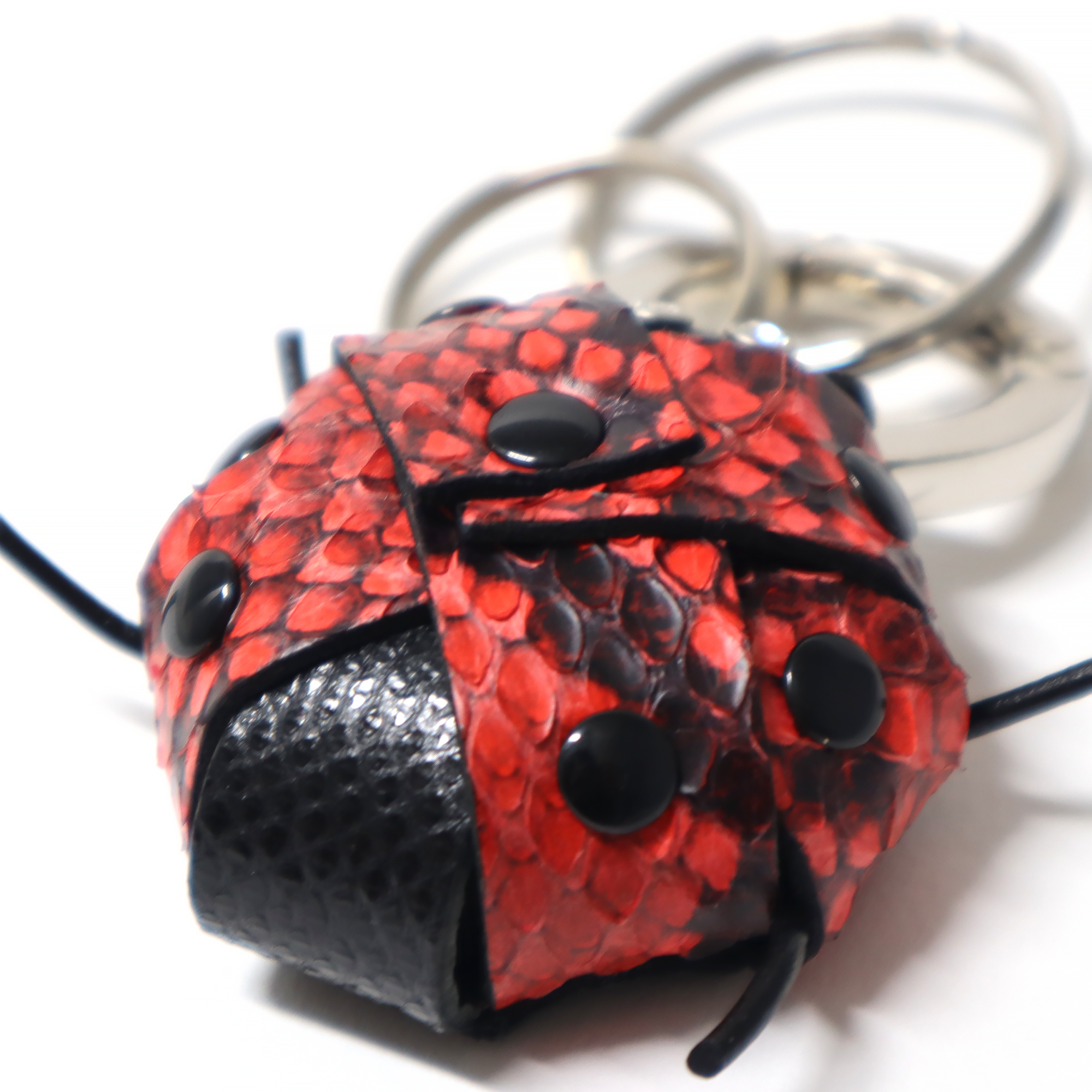 Real Reptile Keychain in the shape of a Ladybug